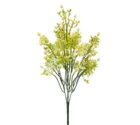 Zeleň waxflower žltý 44cm