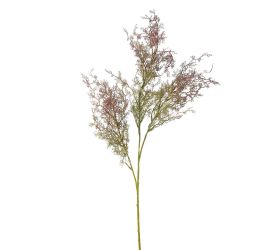 Zeleň asparát fialový 70cm
