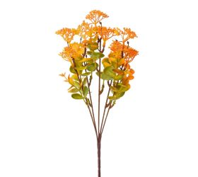 Zeleň sedum oranžové 32cm