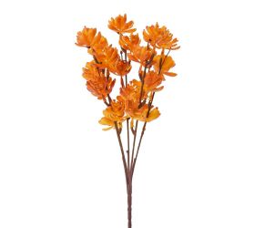 Zeleň sukulent oranžová 30cm