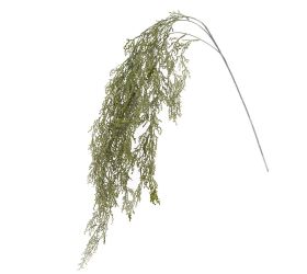 Zeleň konár tuja zelená 118cm