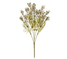 Zeleň waxflower zeleno-ružová 36cm