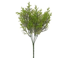 Zeleň tuja zelená 32cm