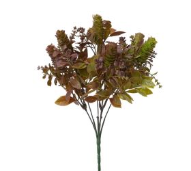 Zeleň sukulent zel-bordo., drob. lístky 33cm