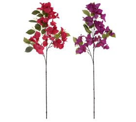 Konár bungevila mix/2f 78cm