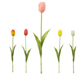 Ks tulipán mix/5f 42cm