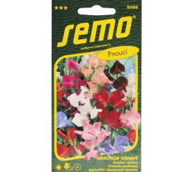 Hrachor voňavý spencer 2g