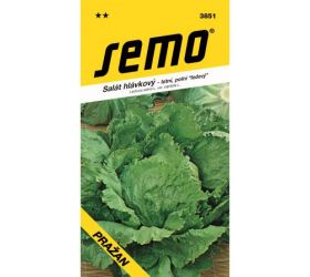 Šalát hl.ľadový pražan 0,8g