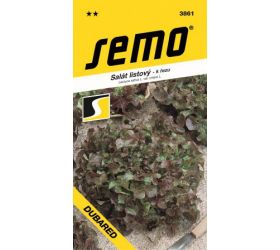 Šalát list dubared 0,8g