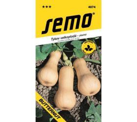 Tekvica butternut 2g 1