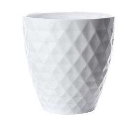 54507 obal orch.alaska weiss 632/15