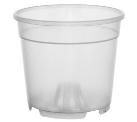 Kontajner orchidea 12cm x 10cm, 0,8 l číry