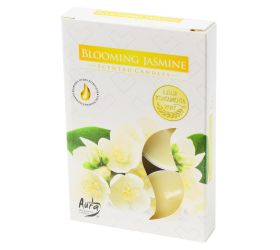 Čajové voňavé/6 kvet jazmínu