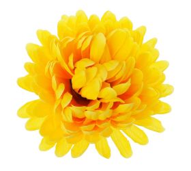 Hlava chryzantéma žltá 10cm bal:12ks