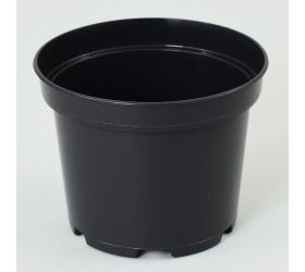 Kontajner 15cm, 1,5l sbx