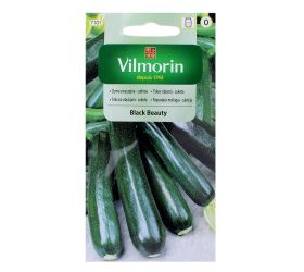 Tekvica obyč. - cuketa black beauty 2g