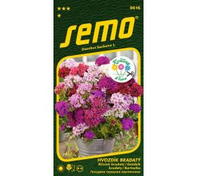 Klinček bradatý fragrance mix 0,5g