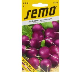 Reďkovka purpura f1