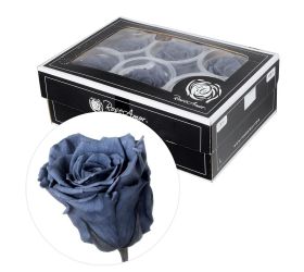 Ruža preparovaná smokey grey 5cm /ks