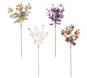 Konár eukalypt cinerea 4f 60cm