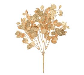 Zeleň lunaria zlatá 37cm