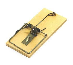 Pasca na myši drevená