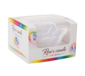 Ruža nízka dioda biela