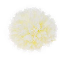 Hlava chryzantéma krémová 10cm