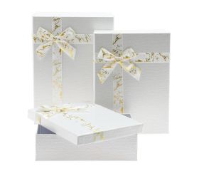 Darčeková krabička obdĺžnik mašľa s/3 23x17x6,5-29x21x9,5cm biela
