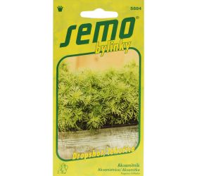 Aksamietnica dropshot 0,5g