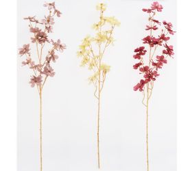 Ks cosmos mix/3f 95cm