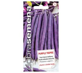 Fazuľa záhr. kríč. purple teepee 10g
