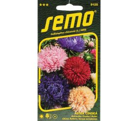 Astra čínska pivoine 0,5g