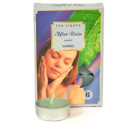 Čajové voňavé/6 po daždi