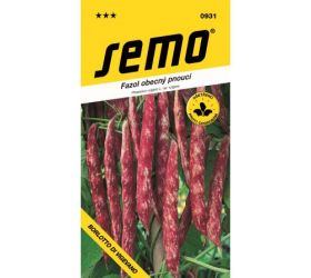 Fazuľa kol borlotto di vigevano/perseus/ 7g