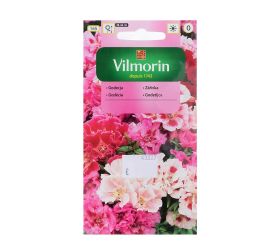 Godécia veľkokvetá 1g