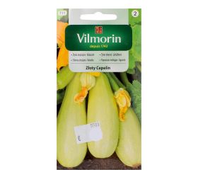 Tekvica žltý cepelin 5g