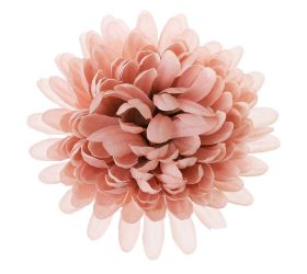 Hlava chryzantéma st.ružová 10cm bal:12ks