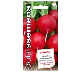 Reďkovka faraon 3g