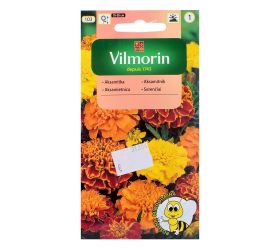 Aksamietnica rozložitá zmes 1g