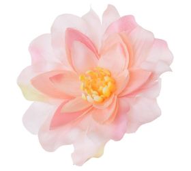 Hlava dahlia ružová p:12cm bal:12ks