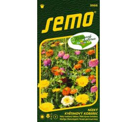 Zmes nízky kvetinový koberec 6g