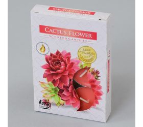 Čajové voňavé/6 kvet kaktusu