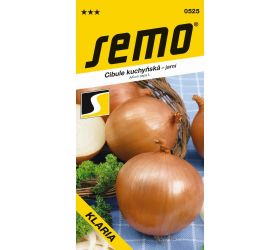 Cibuľa klaria žltá, jarná 2,5g