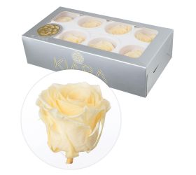 Ruža preparovaná 5cm champagne /ks - bal. 8 ks