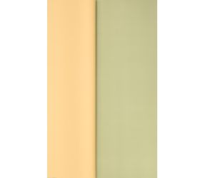 Fólia bal.papier s/20 marhuľ.zelená 60x60cm