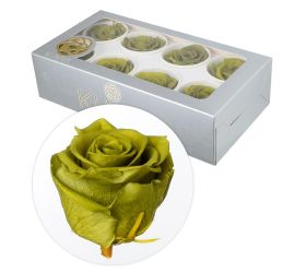 Ruža preparovaná 5cm emerald green /ks - bal. 8 ks