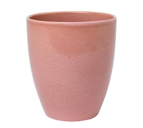 65502 obal orch. rosea 620/15