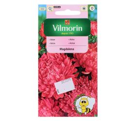 Astra čín.pivon.purpur.magdalena 0,5g