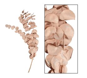 Eucalyptus 45gr nature 50x20x3cm/meď